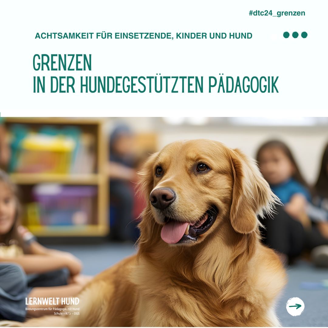 Grenzen in der hundegestützten Pädagogik