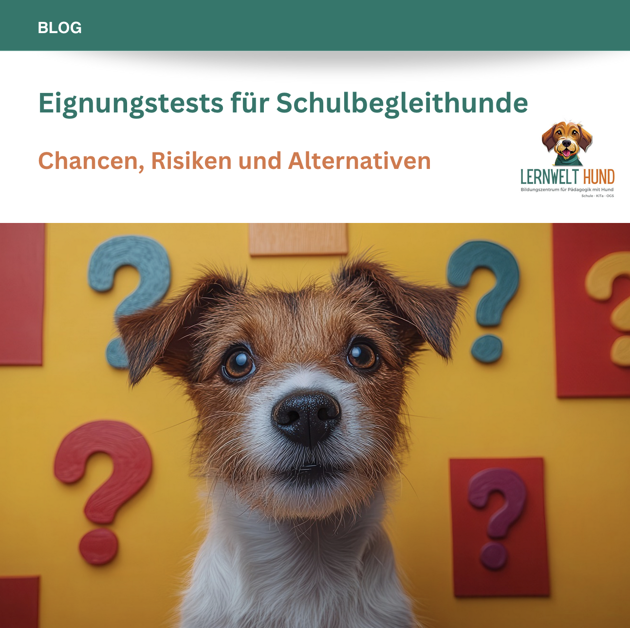 Eignungstests für Schulbegleithunde