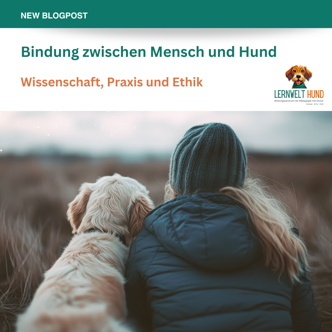 Bindung zwischen Mensch und Hund