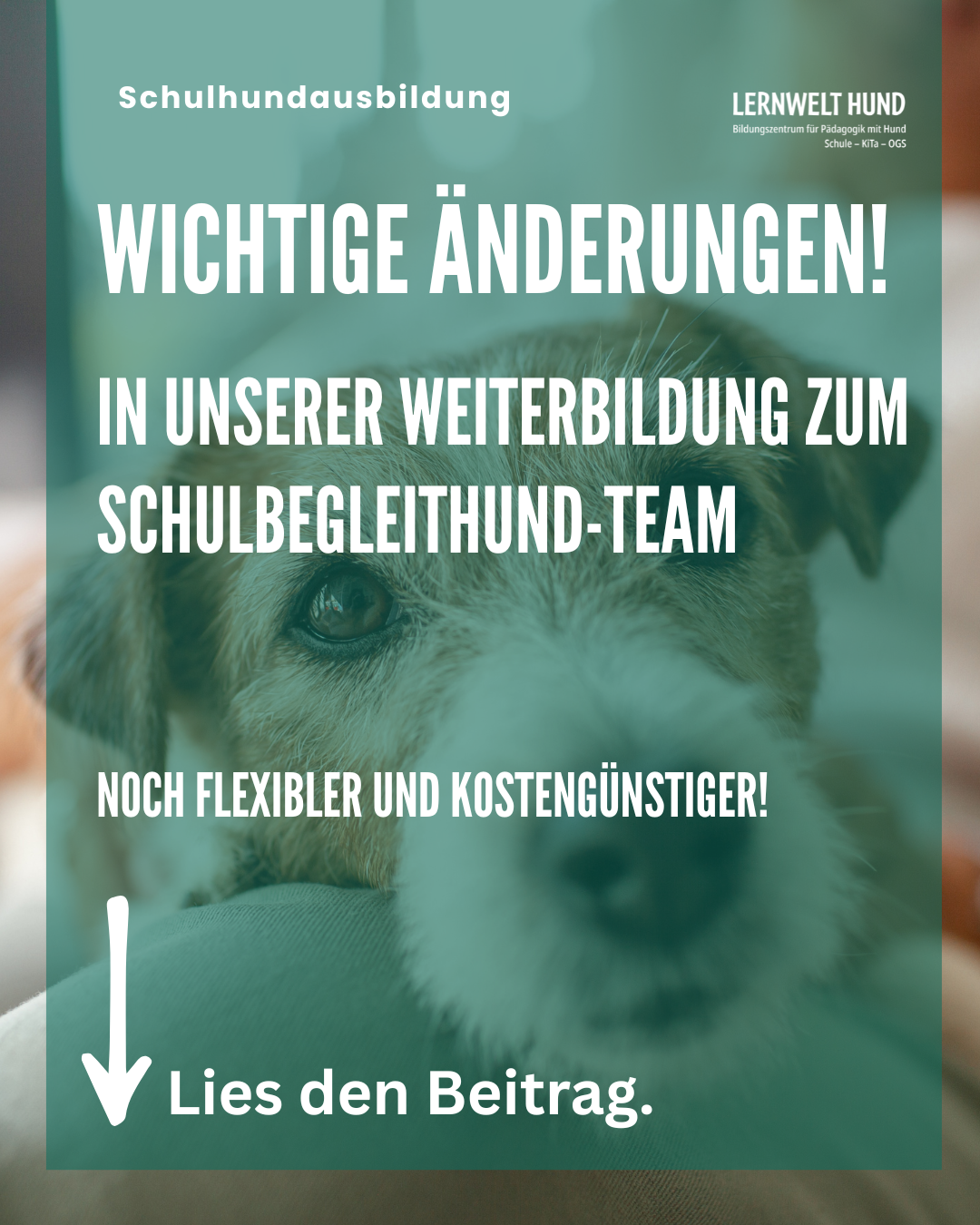 Wichtige Änderungen!