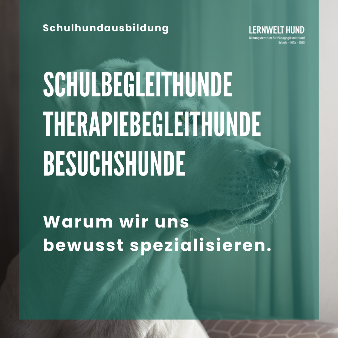 Warum wir uns bewusst spezialisieren.