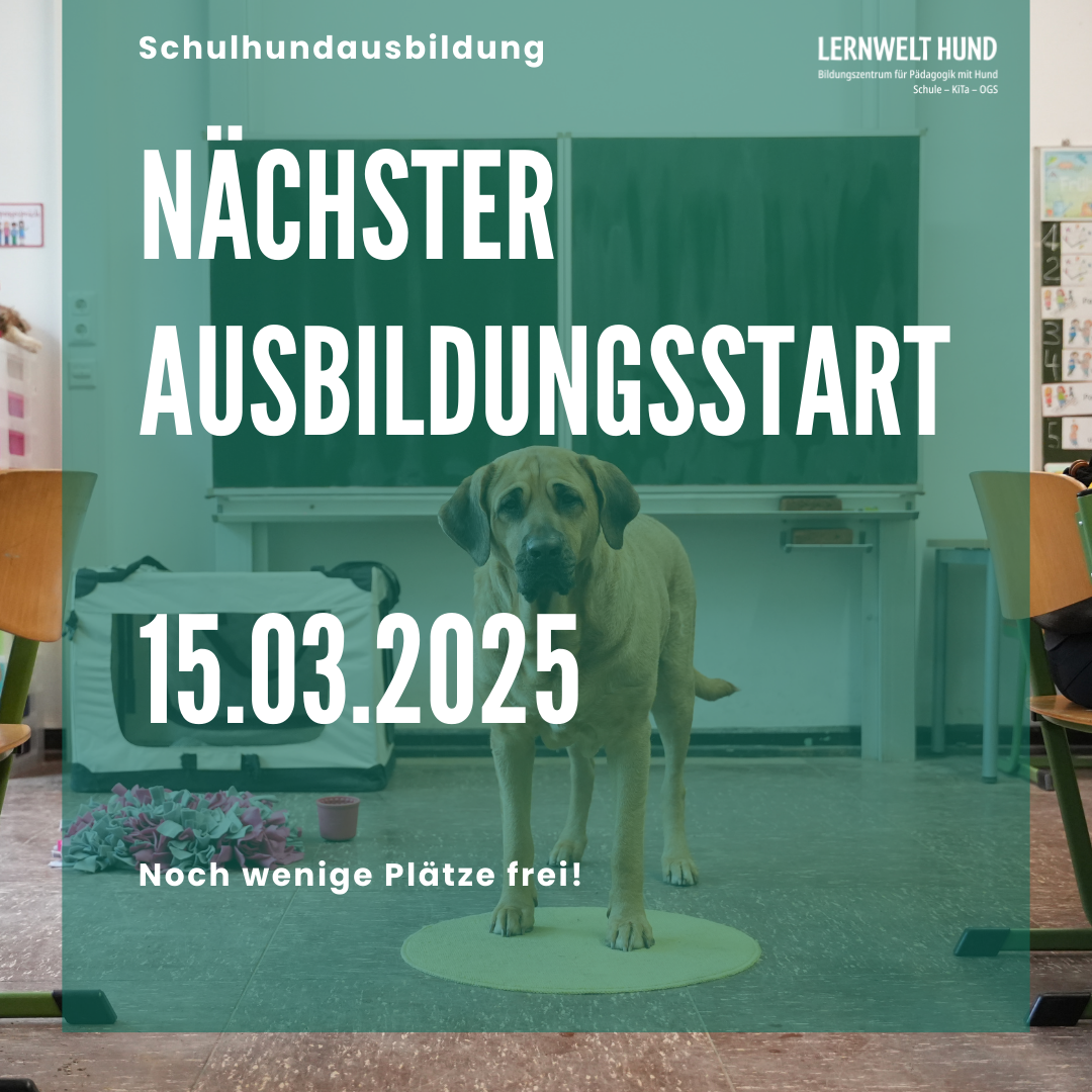 Ausbildungsstart 15.03.2025