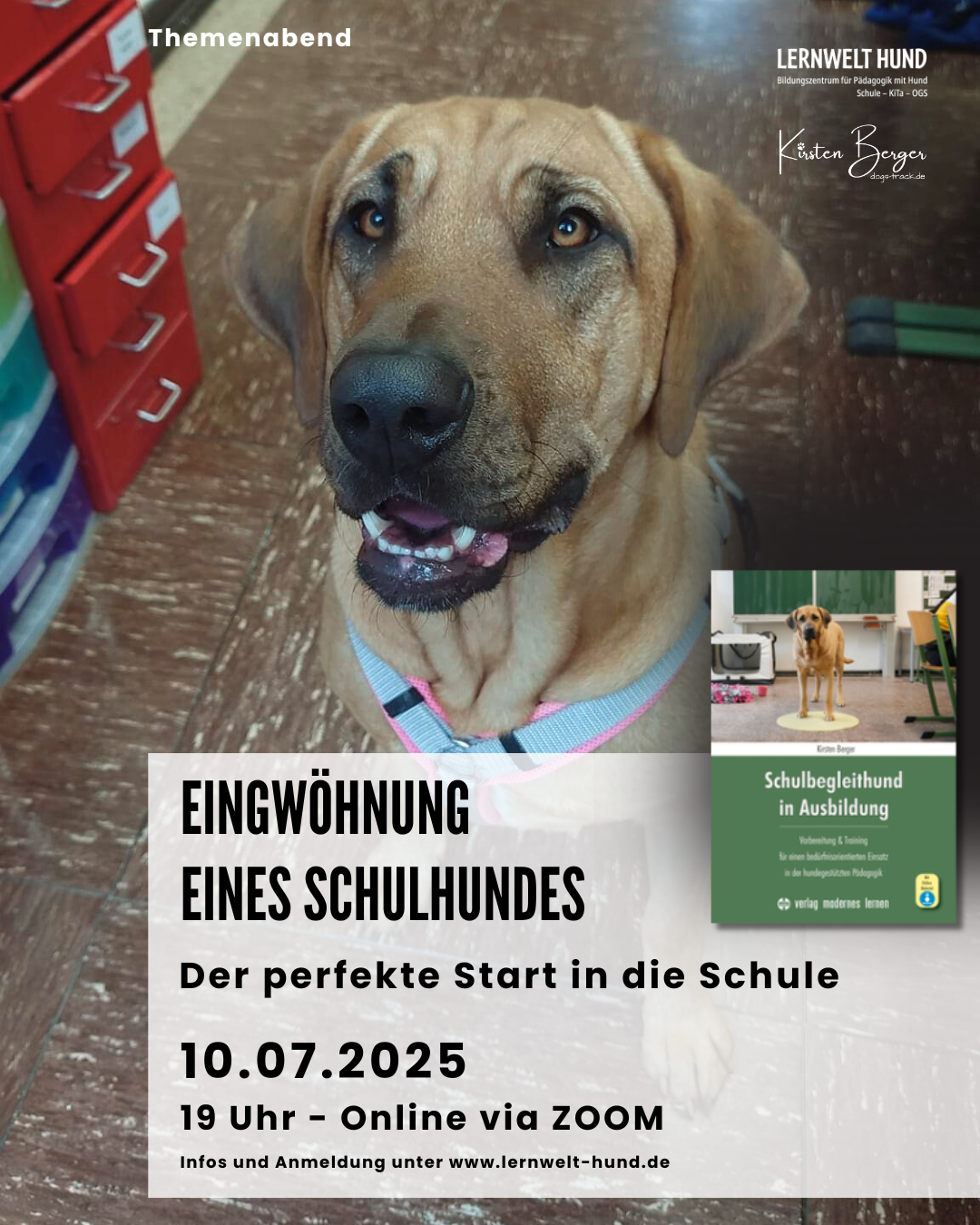 Themen-Abend: „Eingewöhnung eines Schulhundes – Der perfekte Start in die Schule“