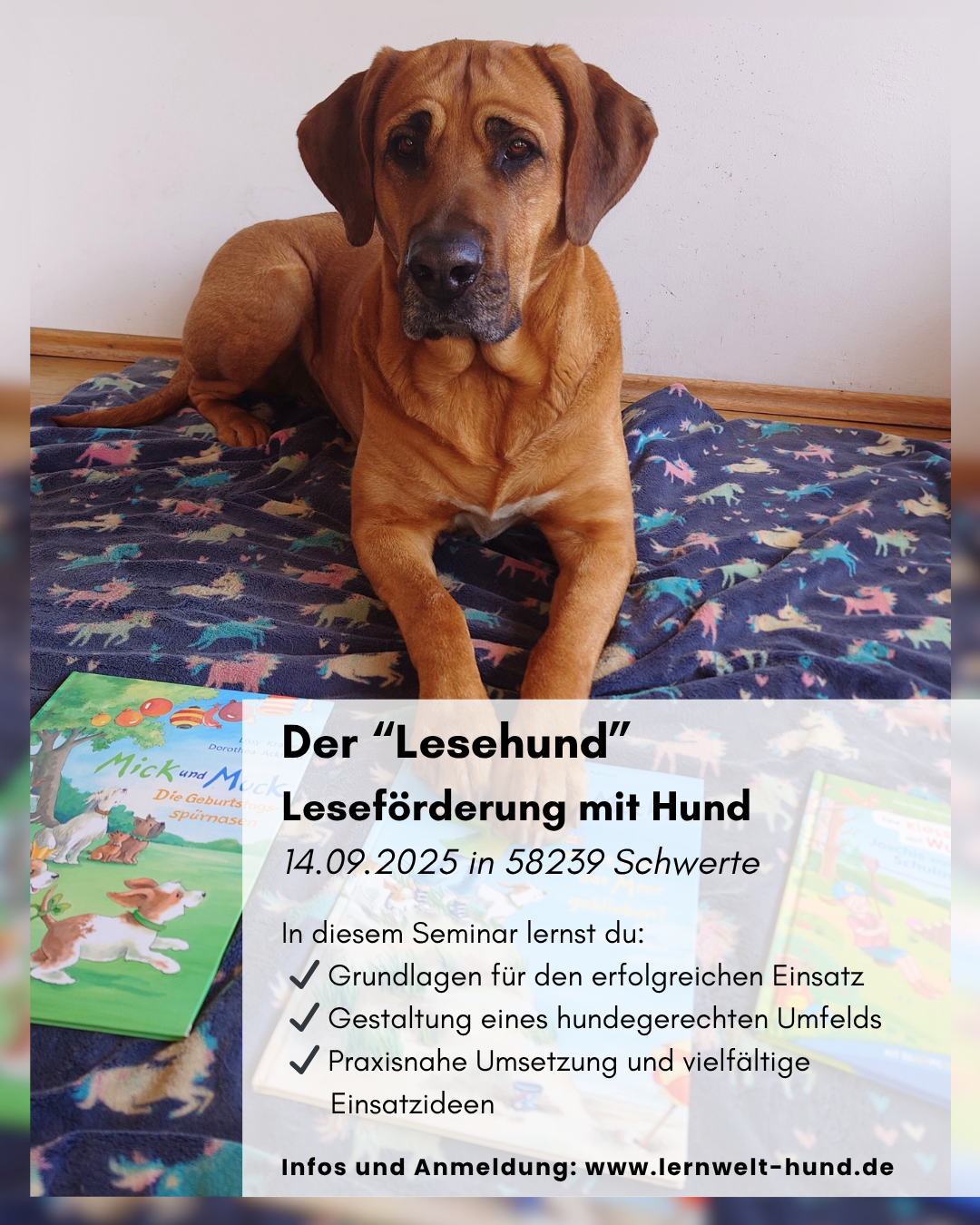 Der „Lesehund“ – Leseförderung in Theorie & Praxis