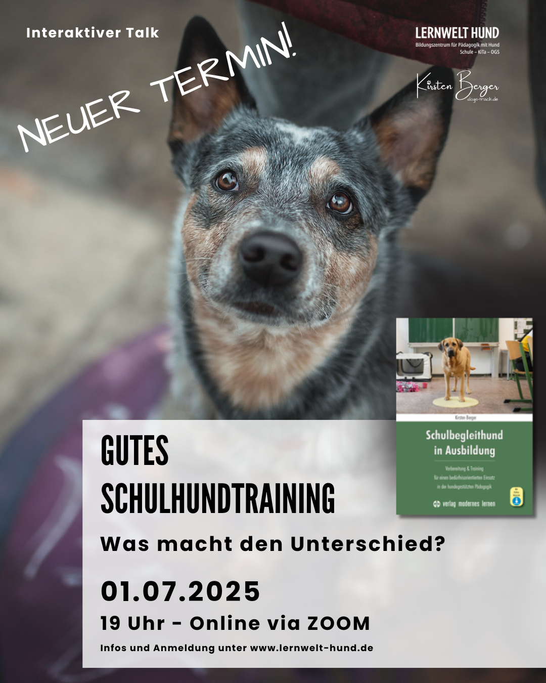 Gutes Schulhundtraining – was macht den Unterschied?