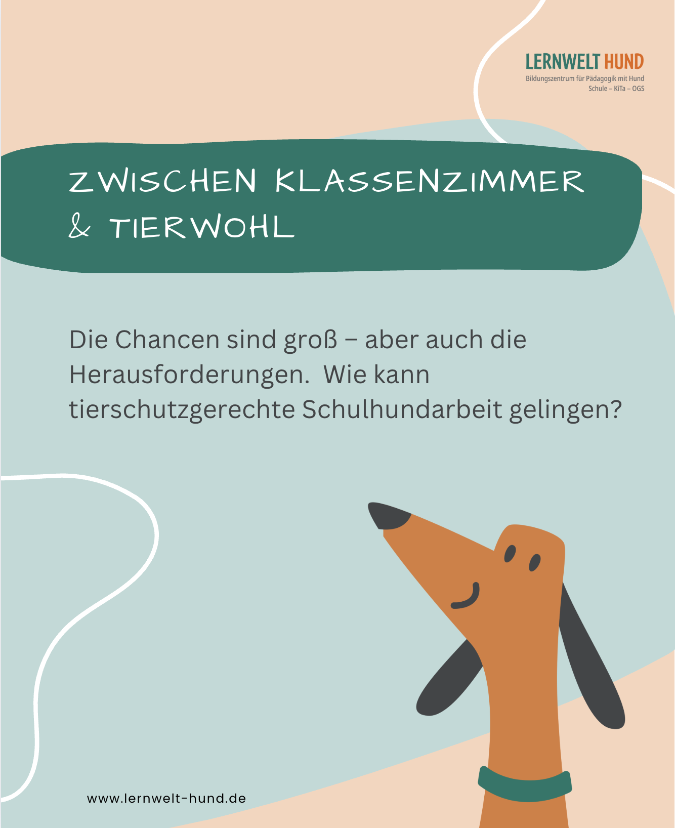 Zwischen Klassenzimmer & Tierwohl