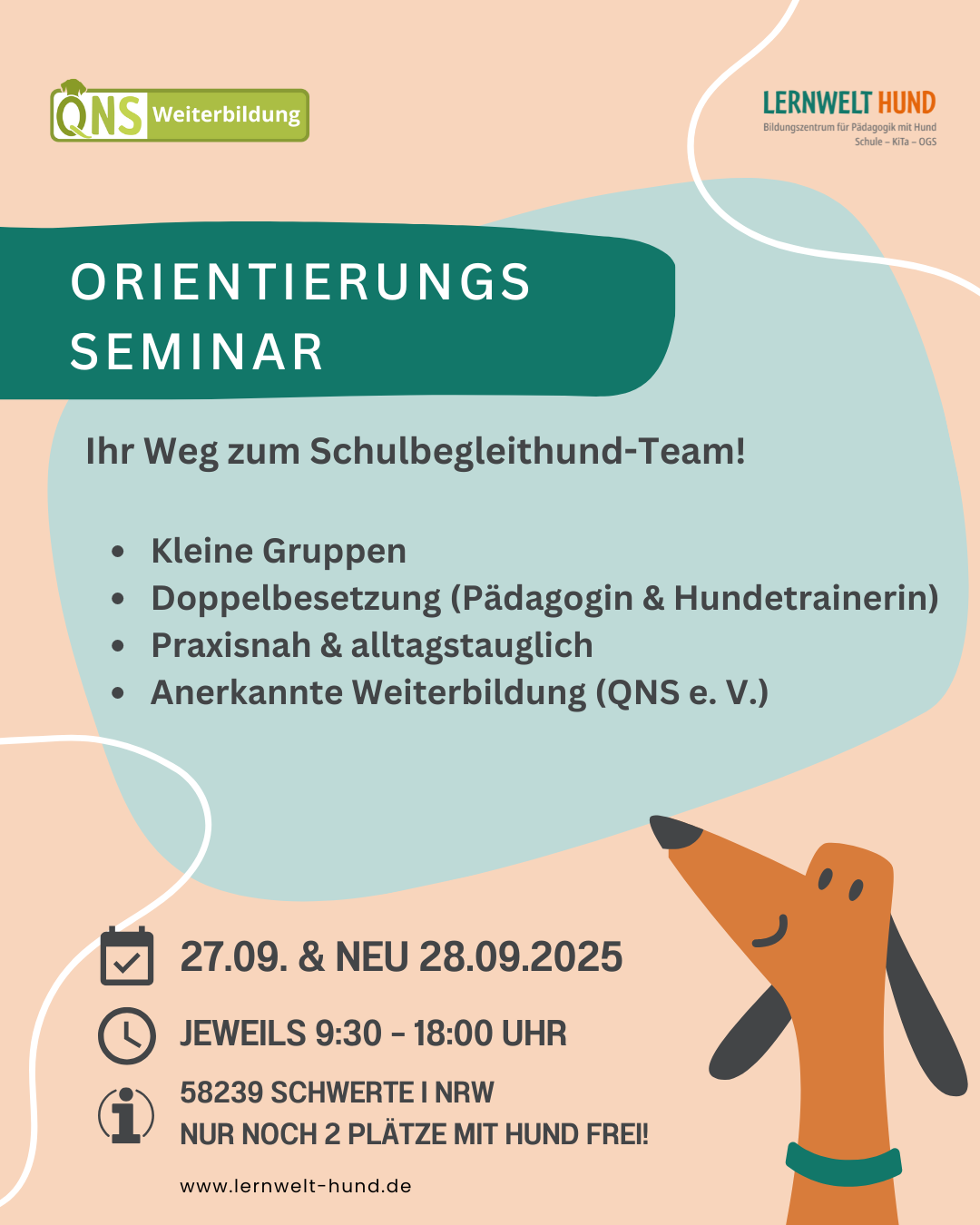 Orientierungsseminar im Herbst: Zusatztermin 3.2 bestätigt