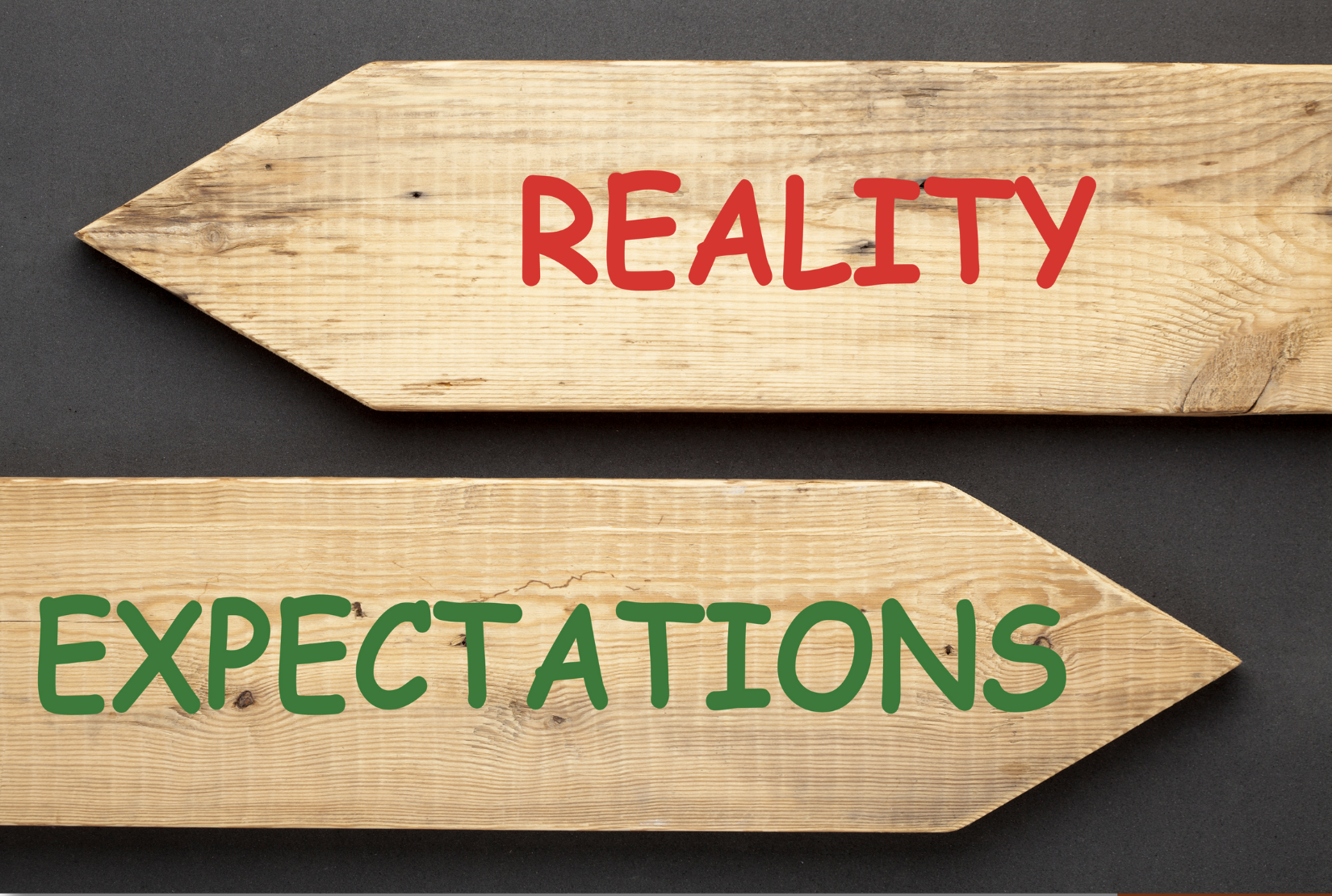 Ethisch & tierschutzgerecht handeln im Schulhund-Einsatz