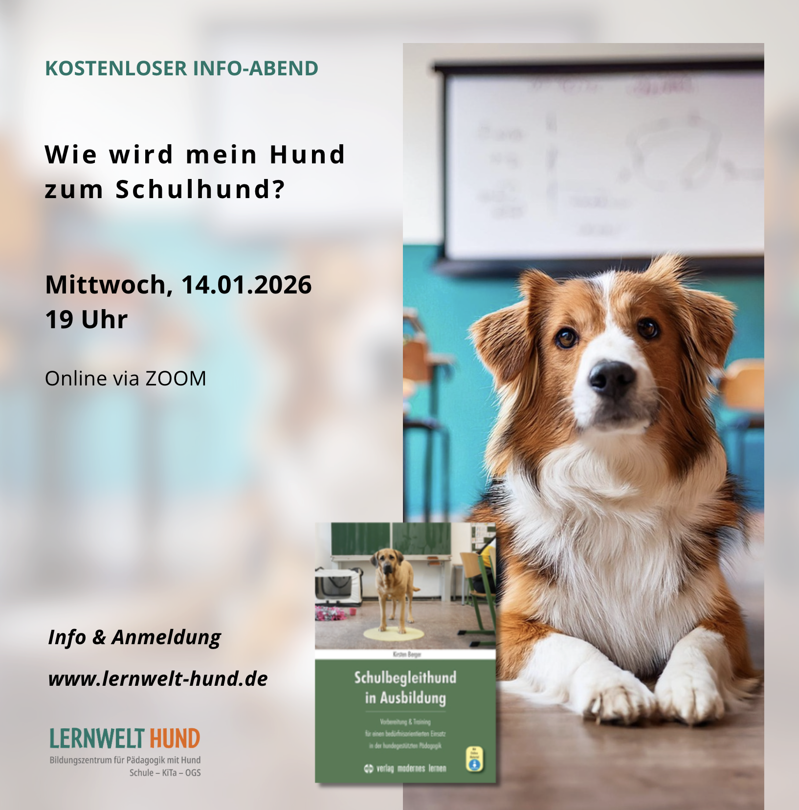 Kostenloser Online Info-Abend - Wie wird mein Hund zum Schulhund?