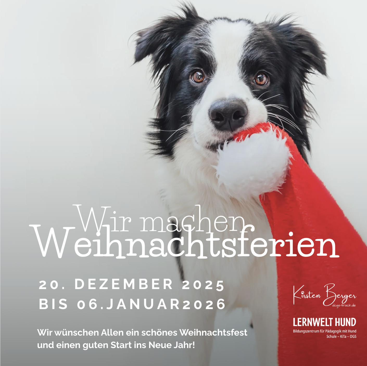 Wir machen Weihnachtsferien 🎄🐾