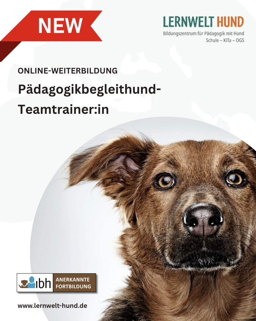 Pädagogikbegleithund-Teamtrainer:in