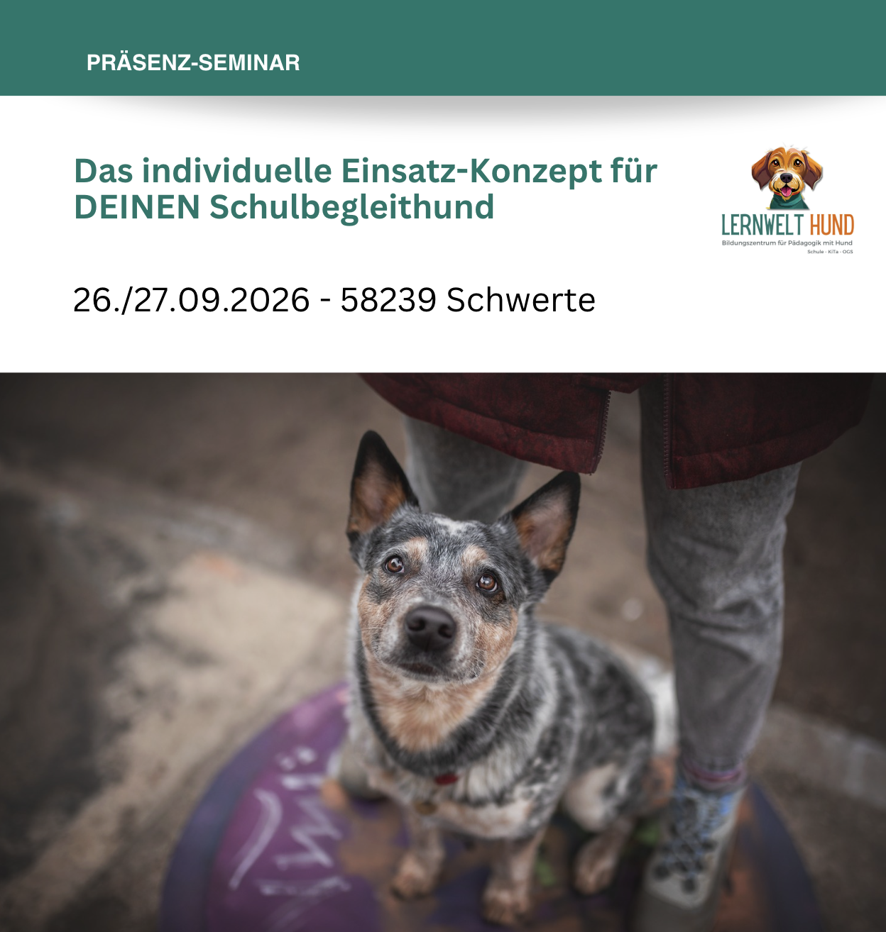 Das individuelle Einsatz-Konzept für DEINEN Schulbegleithund