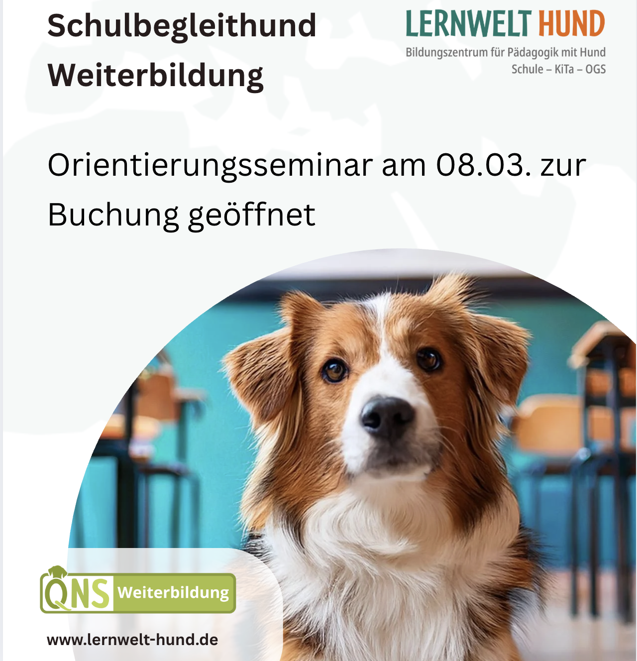 Letze Plätze ohne Hund