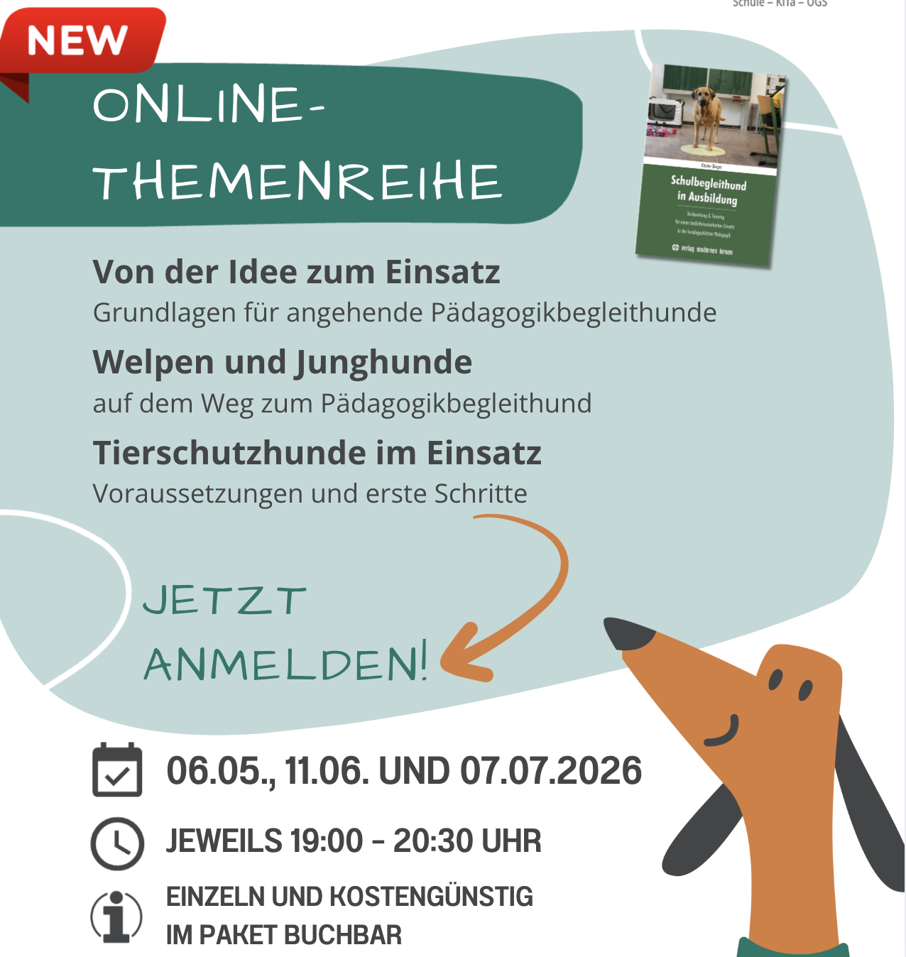 Neue Online-Reihe!