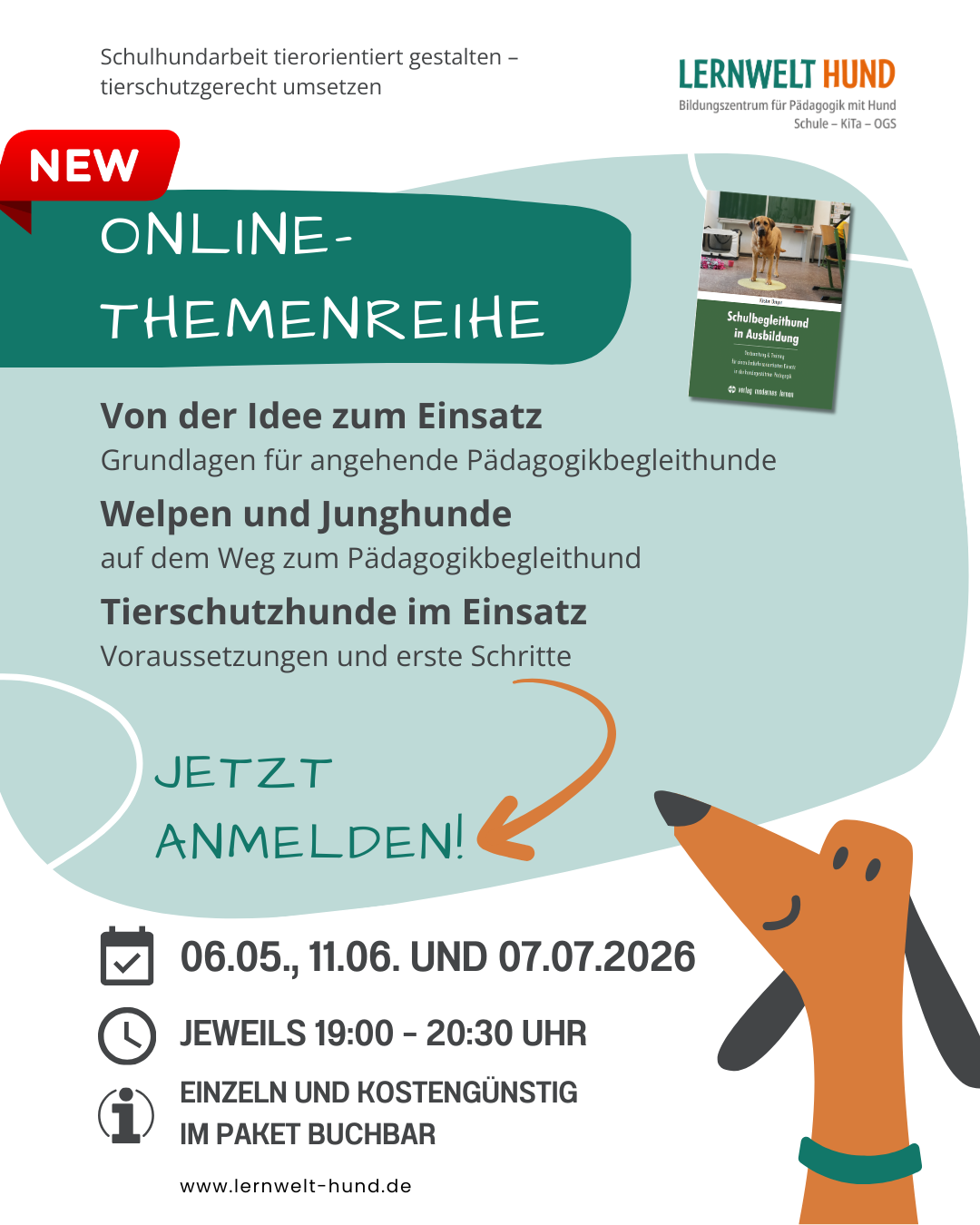 Online-Themenreihe: Auf dem Weg zum Pädagogikbegleithund