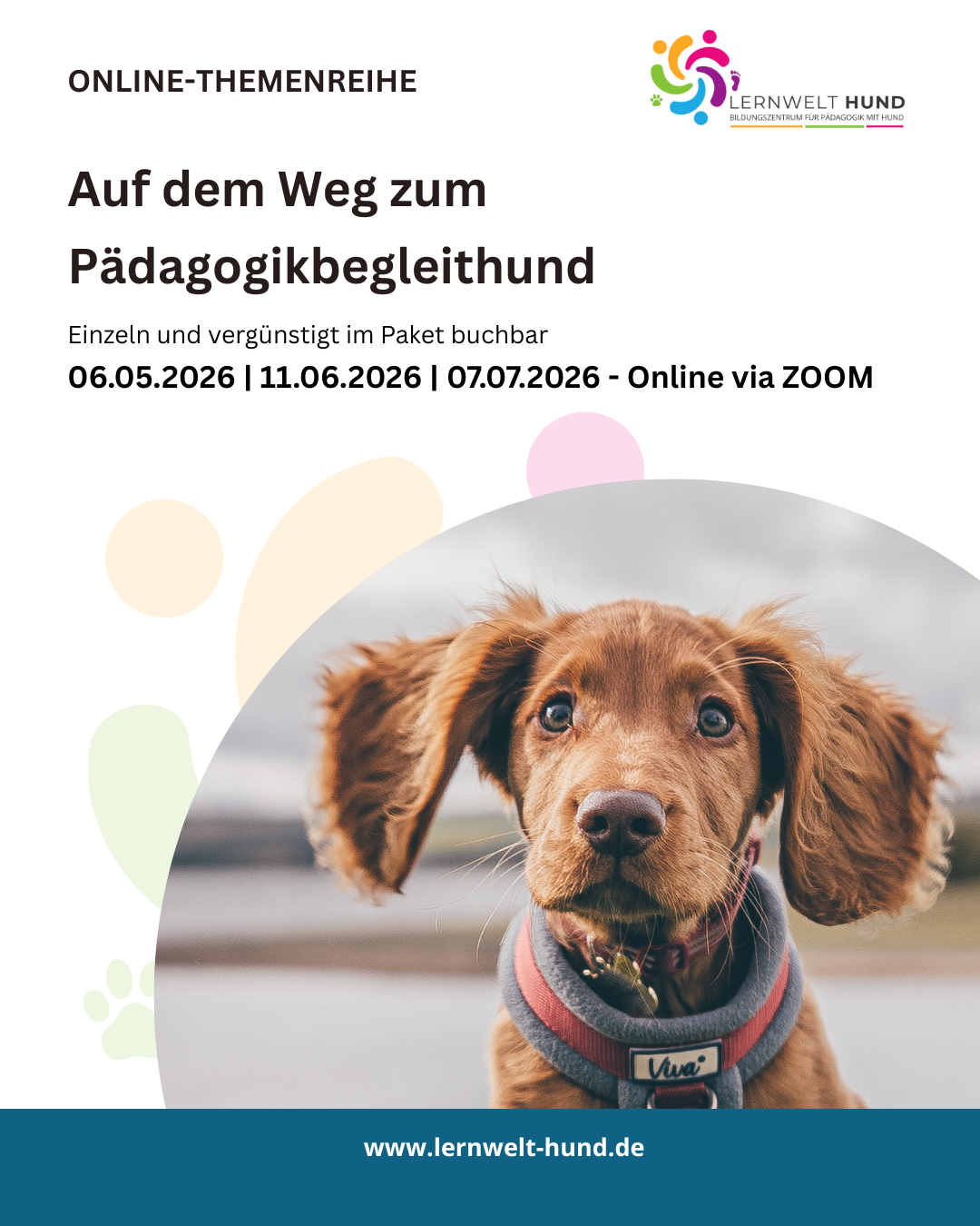 Auf dem Weg zum Pädagogikbegleithund