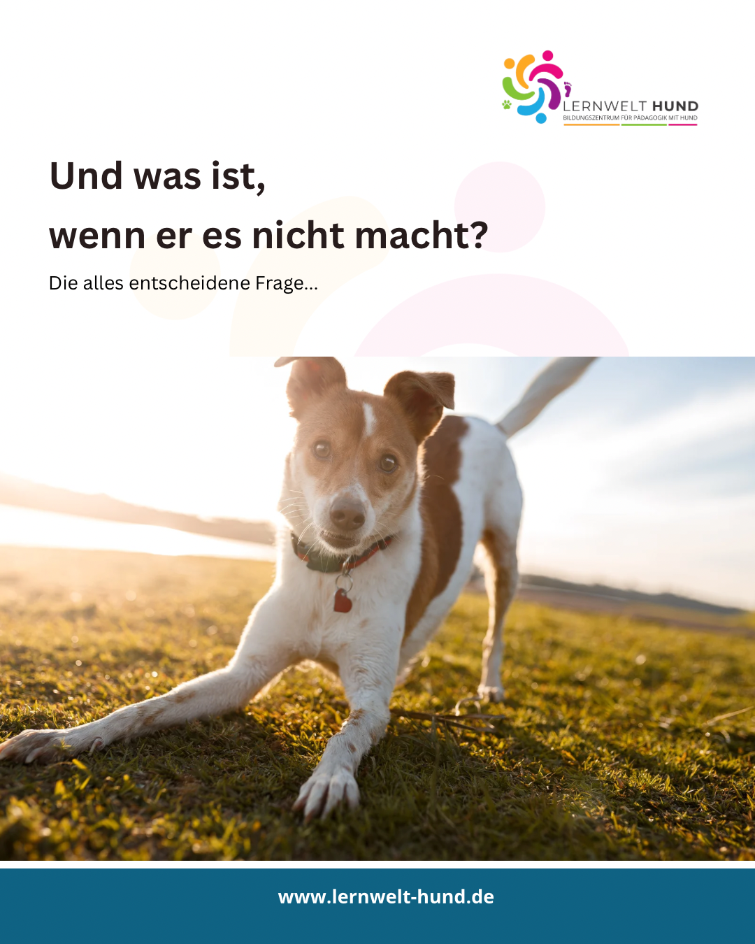 „Und was ist, wenn er es nicht macht?“