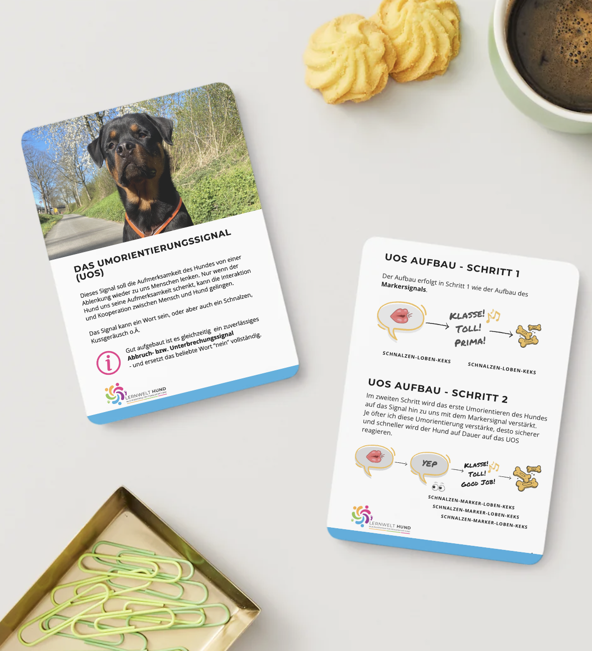 Neu bei Lernwelt Hund: Trainingskarten